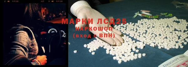 прущие грибы Алексин