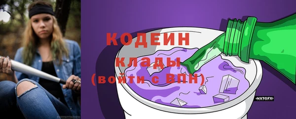 хмурый Семилуки