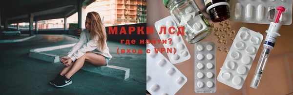 apvp Алзамай