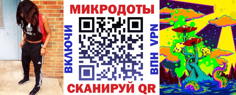 Галлюциногенные грибы Psilocybine cubensis  Амурск 