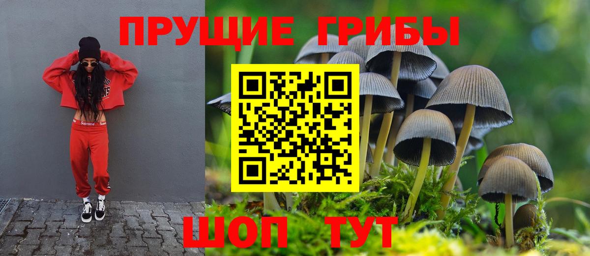 где купить наркоту  Вход с VPN  Псилоцибиновые грибы Psilocybine cubensis  Амурск  Псилоцибиновые грибы Psilocybe 