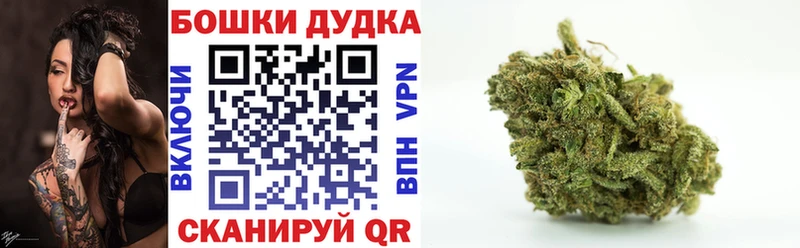 mega ССЫЛКА  где найти   Амурск  Конопля план 